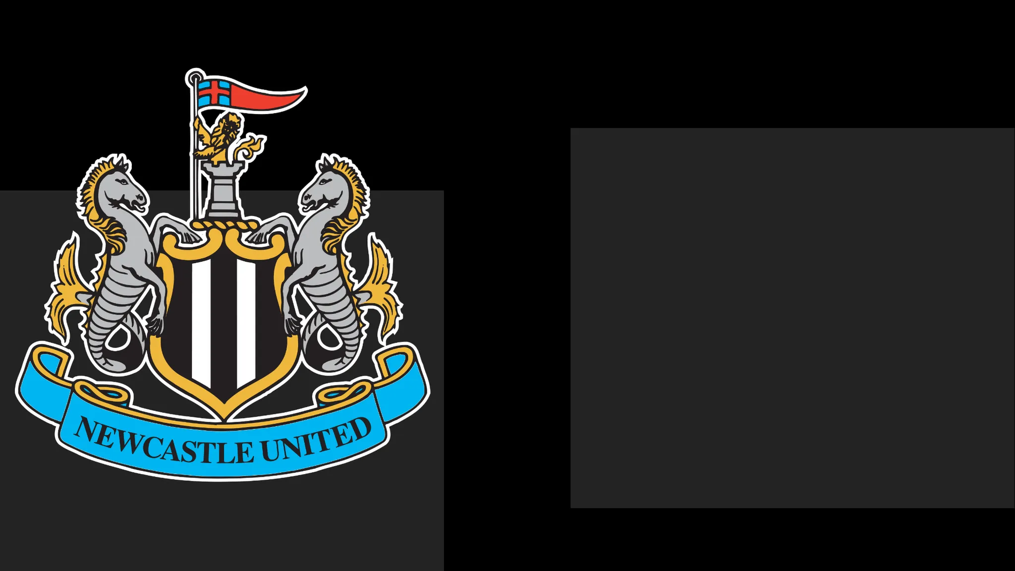 Newcastle's boss Praises Team's Spirit – But It Only Takes Them So Far
