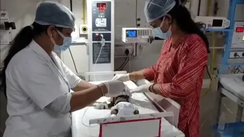 Newborn Buried Alive in the Country Battles for Survival